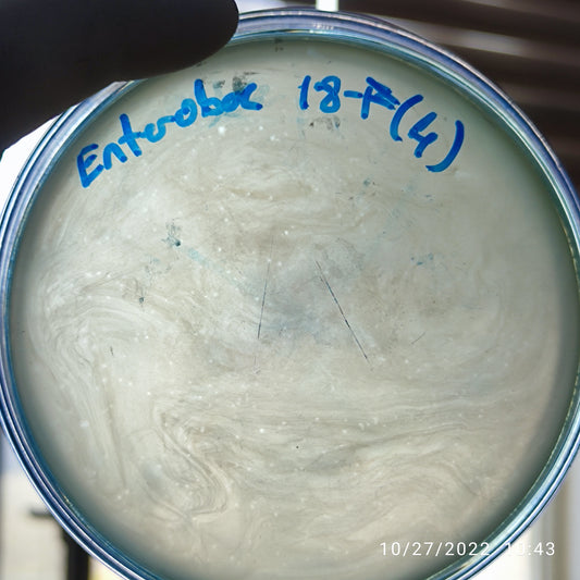 Enterobacter cloacae bacteriophage 200018F