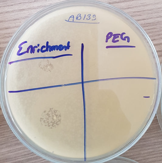 Acinetobacter baumannii bacteriophage 120139A