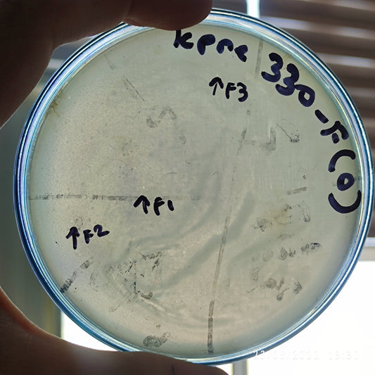 Klebsiella pneumoniae bacteriophage 180330F