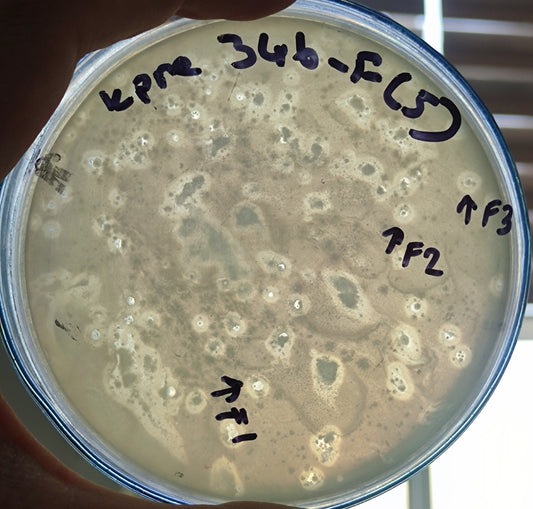 Klebsiella pneumoniae bacteriophage 180346F