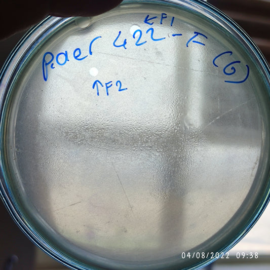 Pseudomonas aeruginosa bacteriophage 130422F