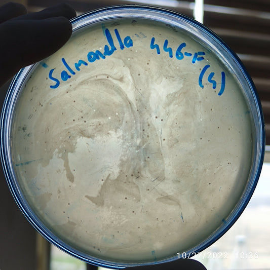 Salmonella bacteriophage 200446F