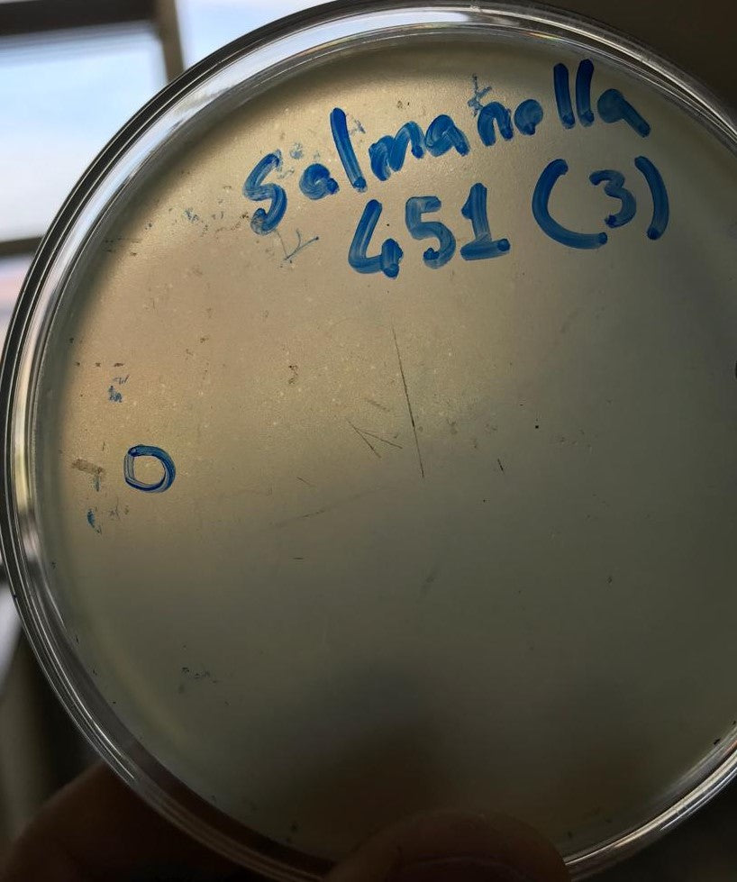 Salmonella bacteriophage 200451D