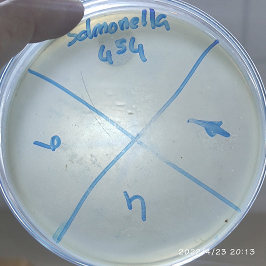 Salmonella bacteriophage 200454D