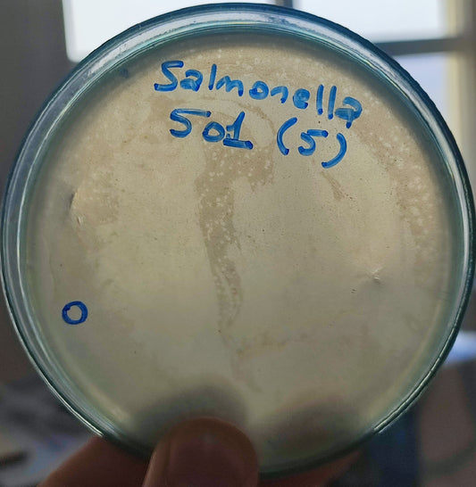 Salmonella bacteriophage 200501F