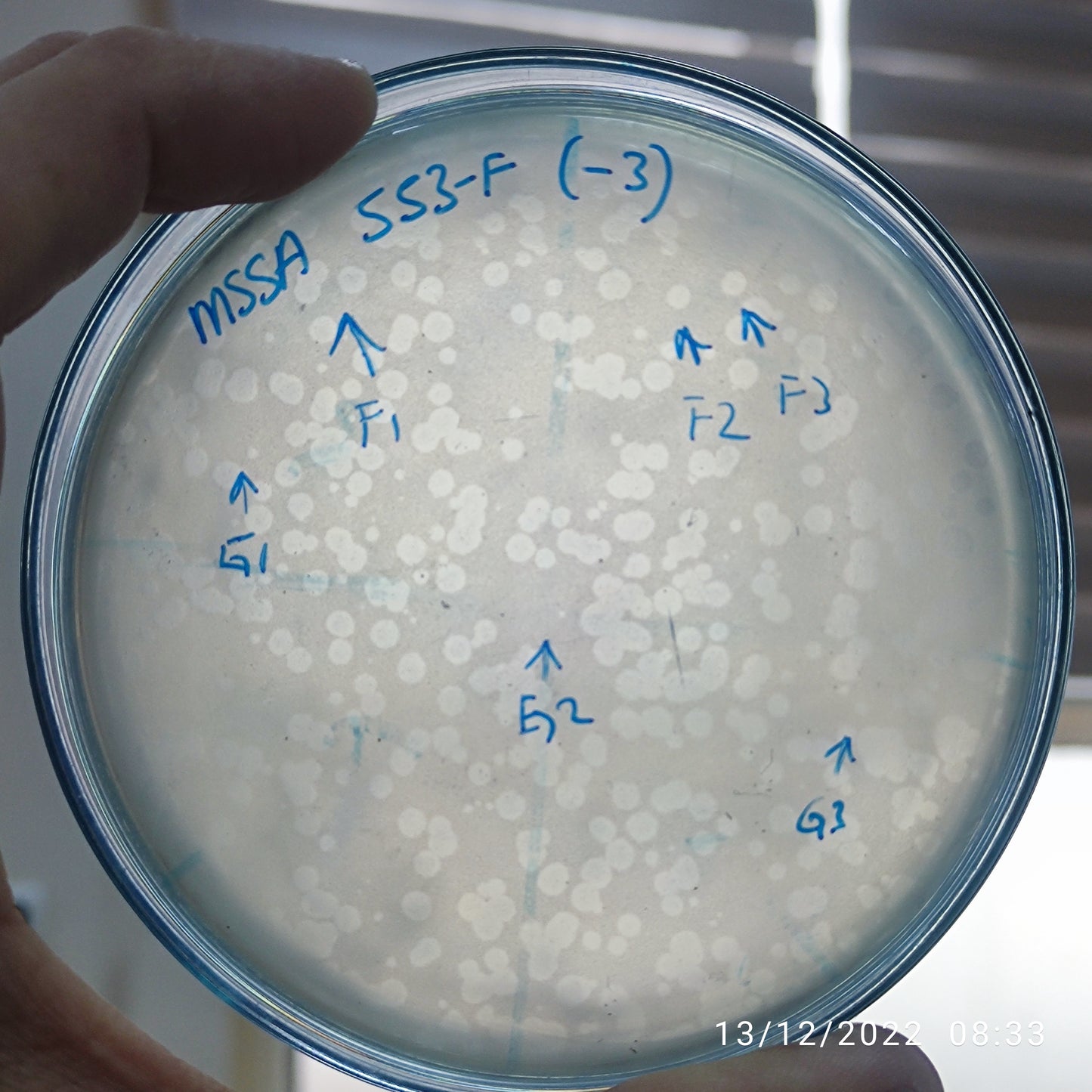 Staphylococcus aureus bacteriophage 152553F