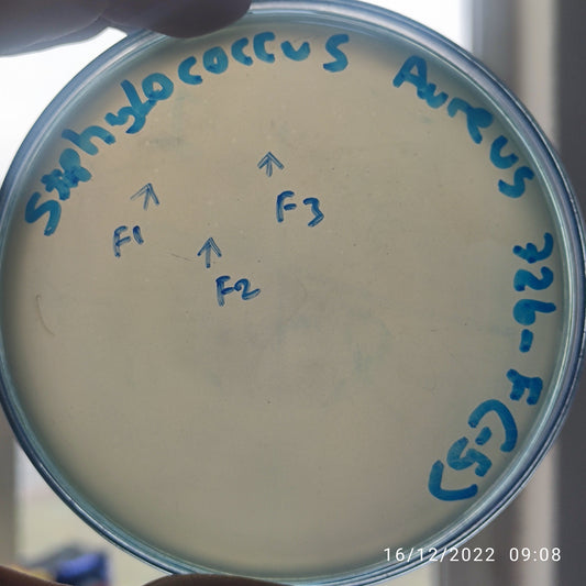 Staphylococcus aureus bacteriophage 152726F