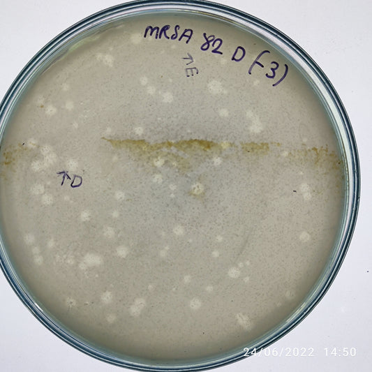 Staphylococcus aureus bacteriophage 150082D