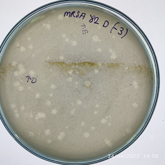 Staphylococcus aureus bacteriophage 150082E