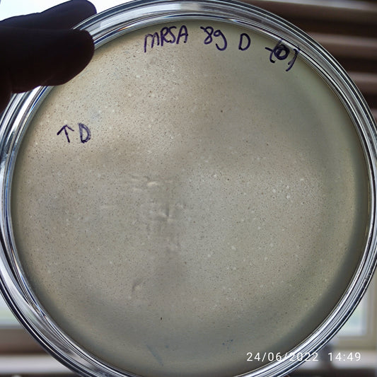 Staphylococcus aureus bacteriophage 150089D