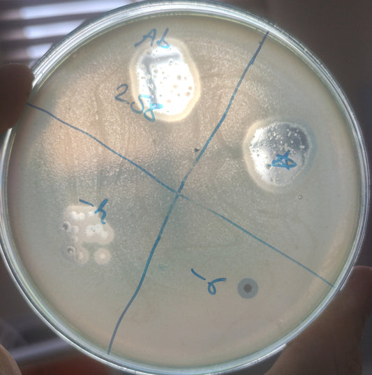 Acinetobacter baumannii bacteriophage 120258A